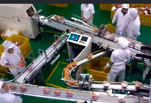 當(dāng)輸送帶出現(xiàn)跑偏后，怎么辦？